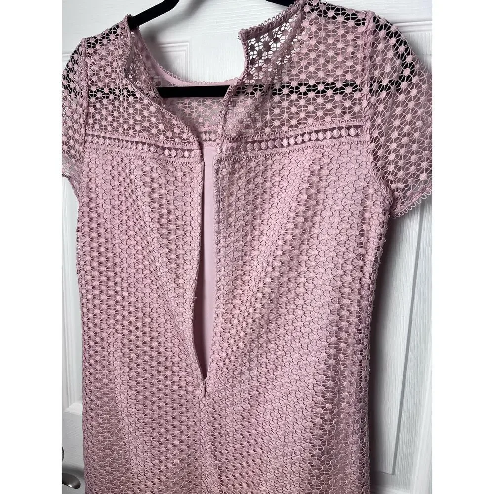 Ann Taylor Petite Shift Lined Lace Overlay Dress Blush Dusty Rose Size 4P - Picture 6 of 8